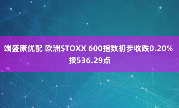 端盛康优配 欧洲STOXX 600指数初步收跌0.20% 报536.29点