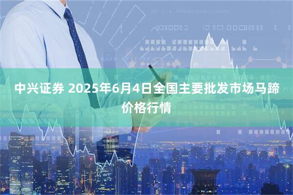 中兴证券 2025年6月4日全国主要批发市场马蹄价格行情