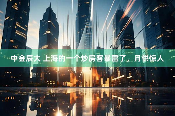 中金辰大 上海的一个炒房客暴雷了，月供惊人