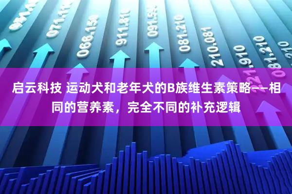 启云科技 运动犬和老年犬的B族维生素策略——相同的营养素，完全不同的补充逻辑