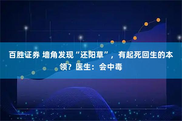 百胜证券 墙角发现“还阳草”，有起死回生的本领？医生：会中毒